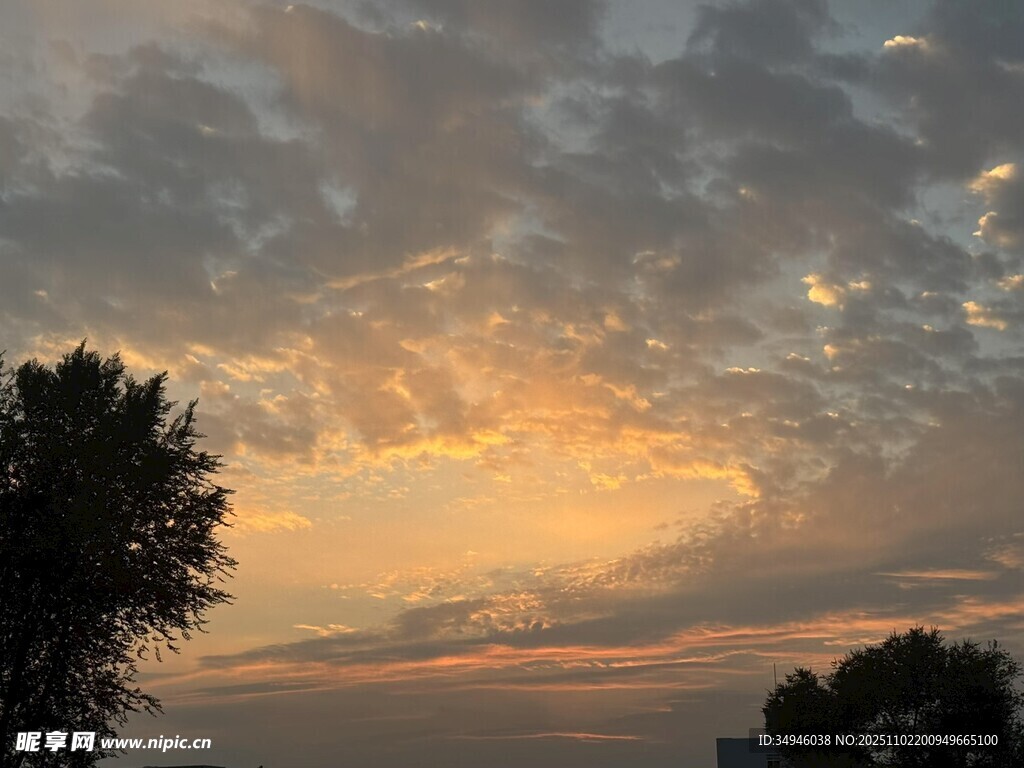 夕阳下的天空与树木美景