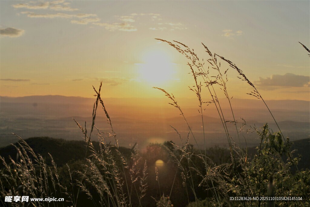 夕阳下的草地美景