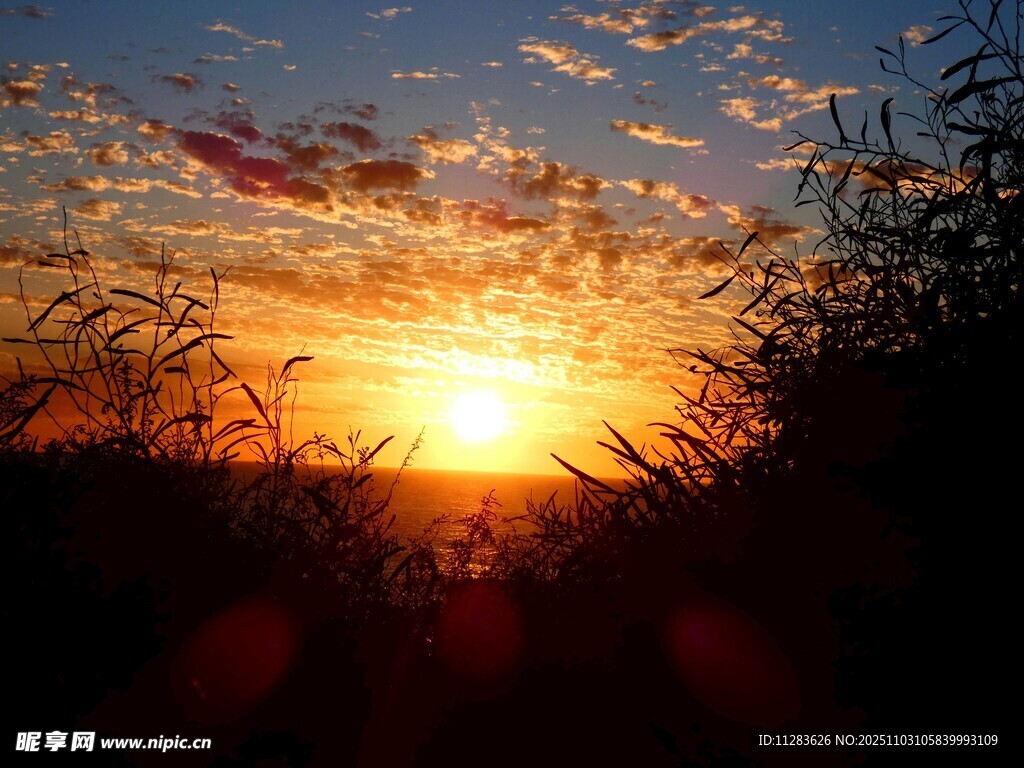 夕阳下的自然剪影美景