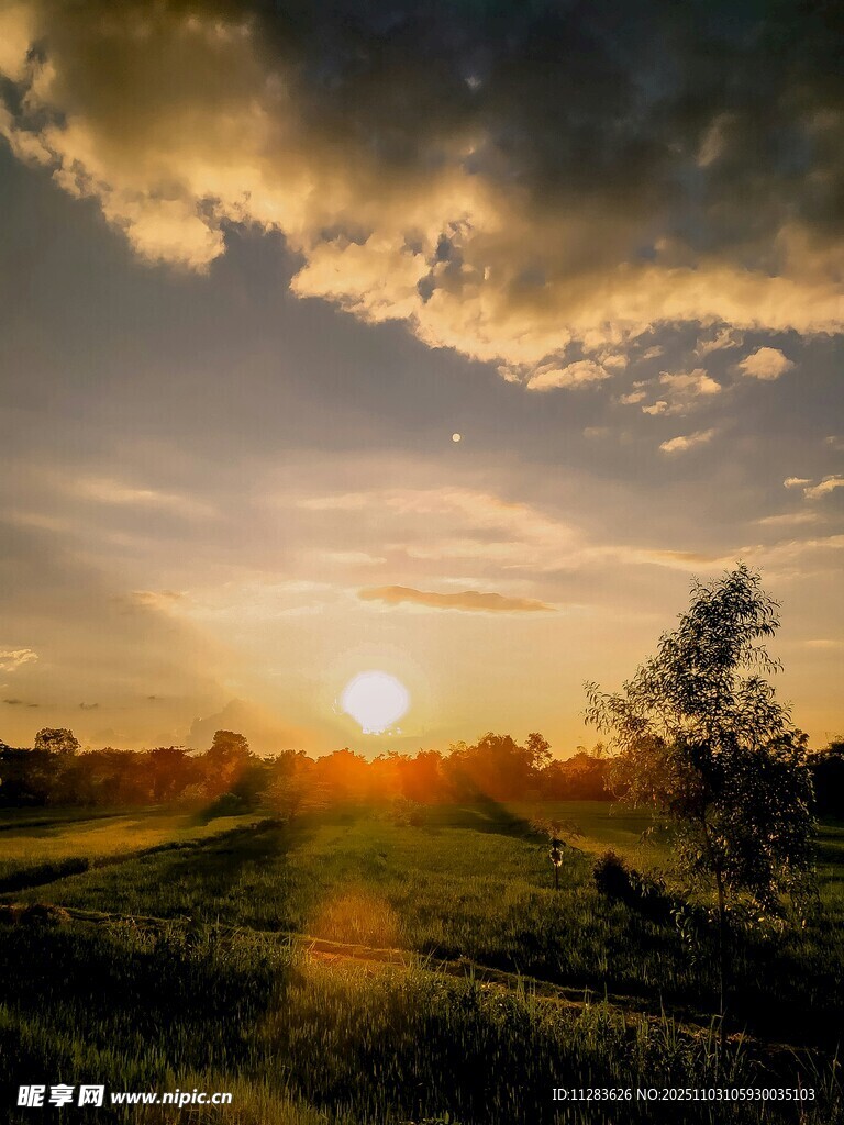 日落时分的田野美景