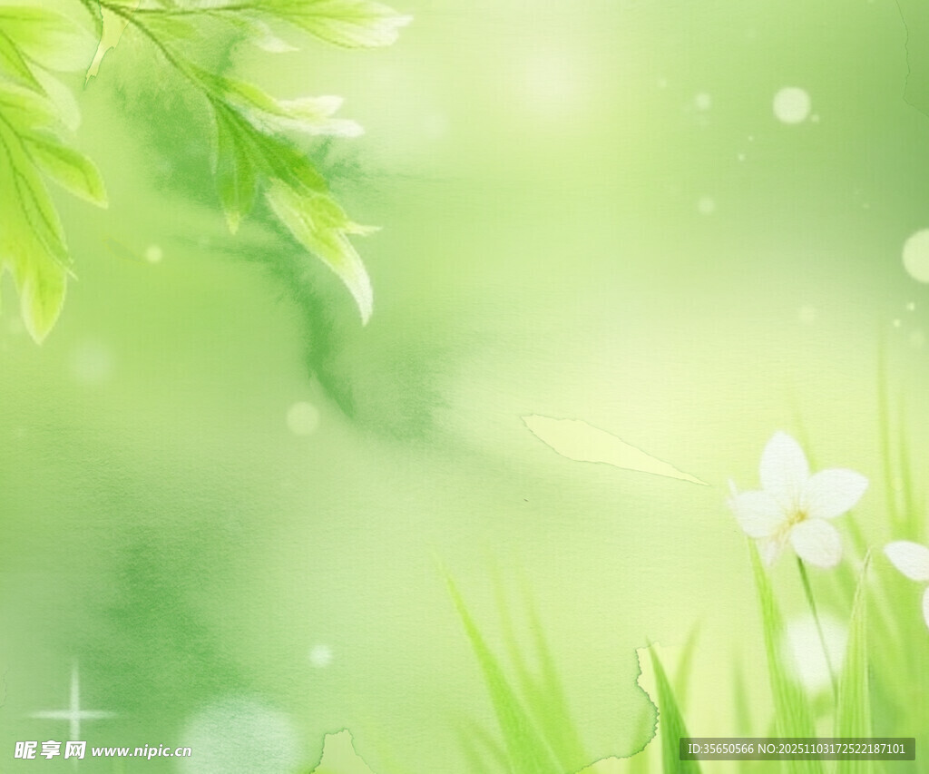 清新绿意春日花草美景