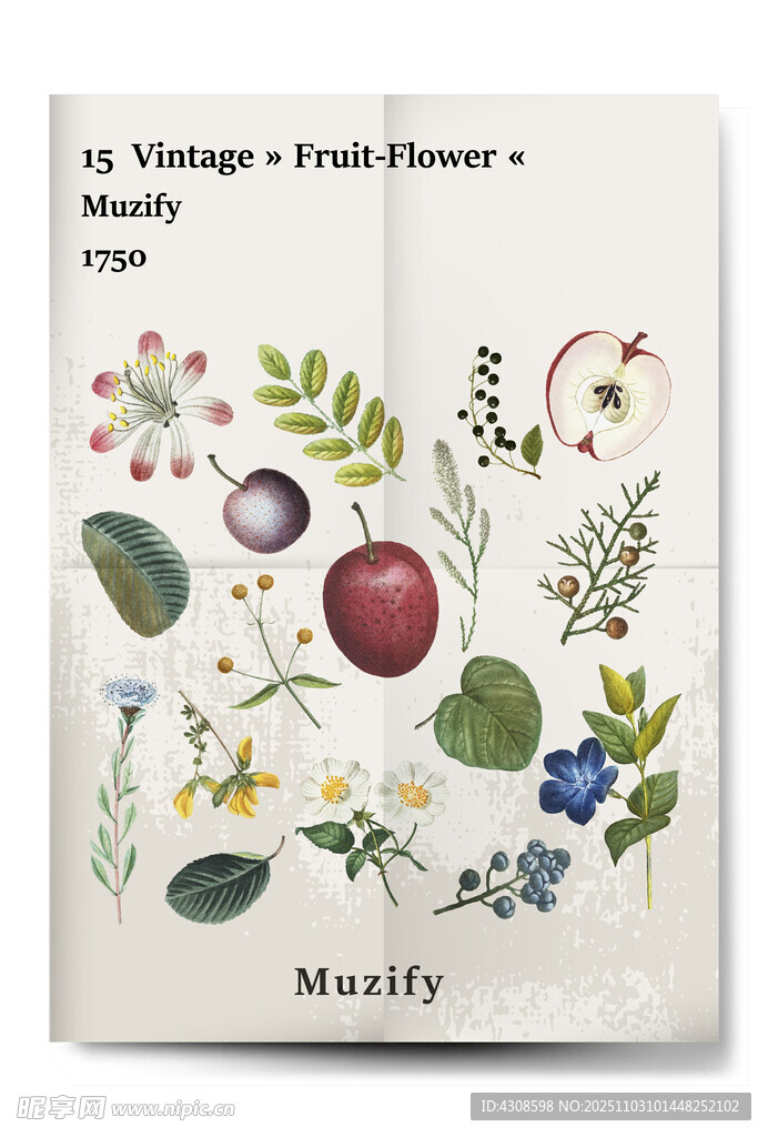 15款入复古水果花卉海报
