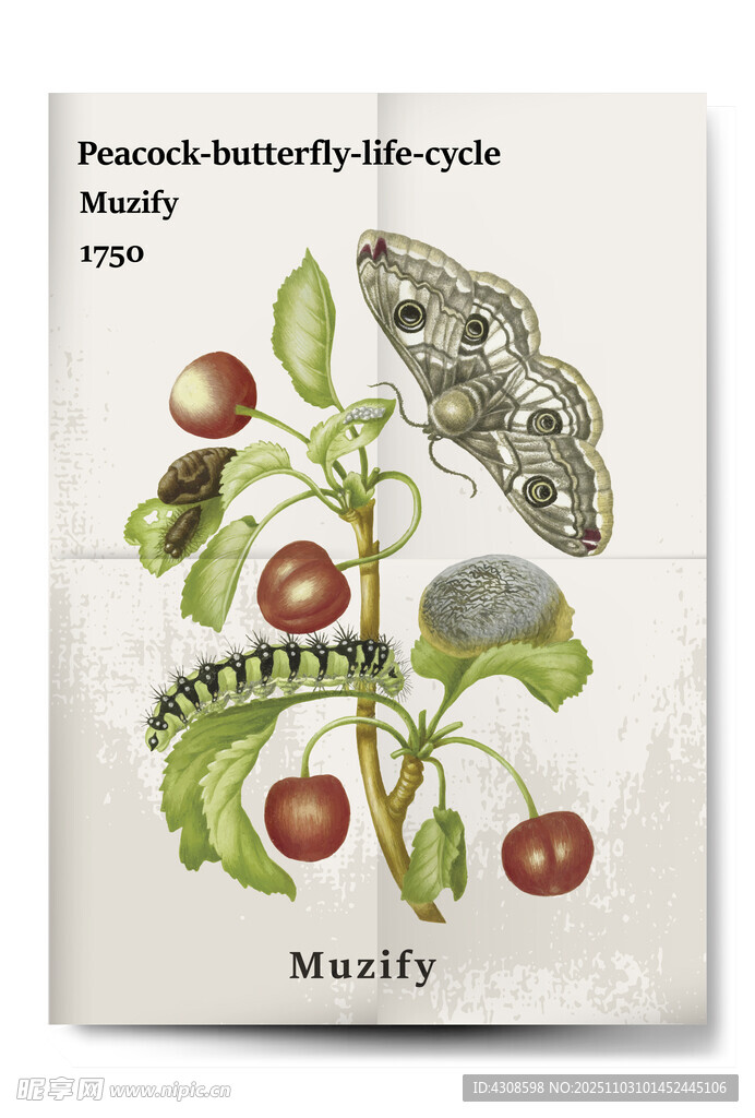 复古孔雀蝴蝶与番茄海报