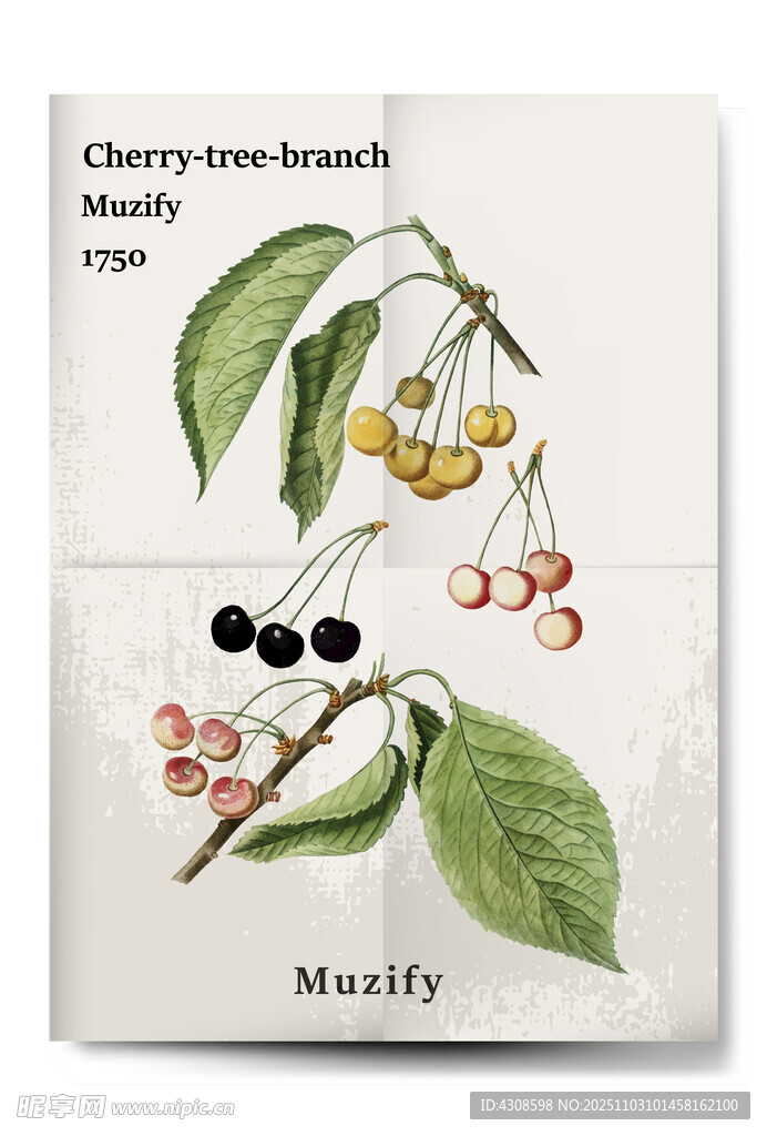 3款入复古樱桃海报