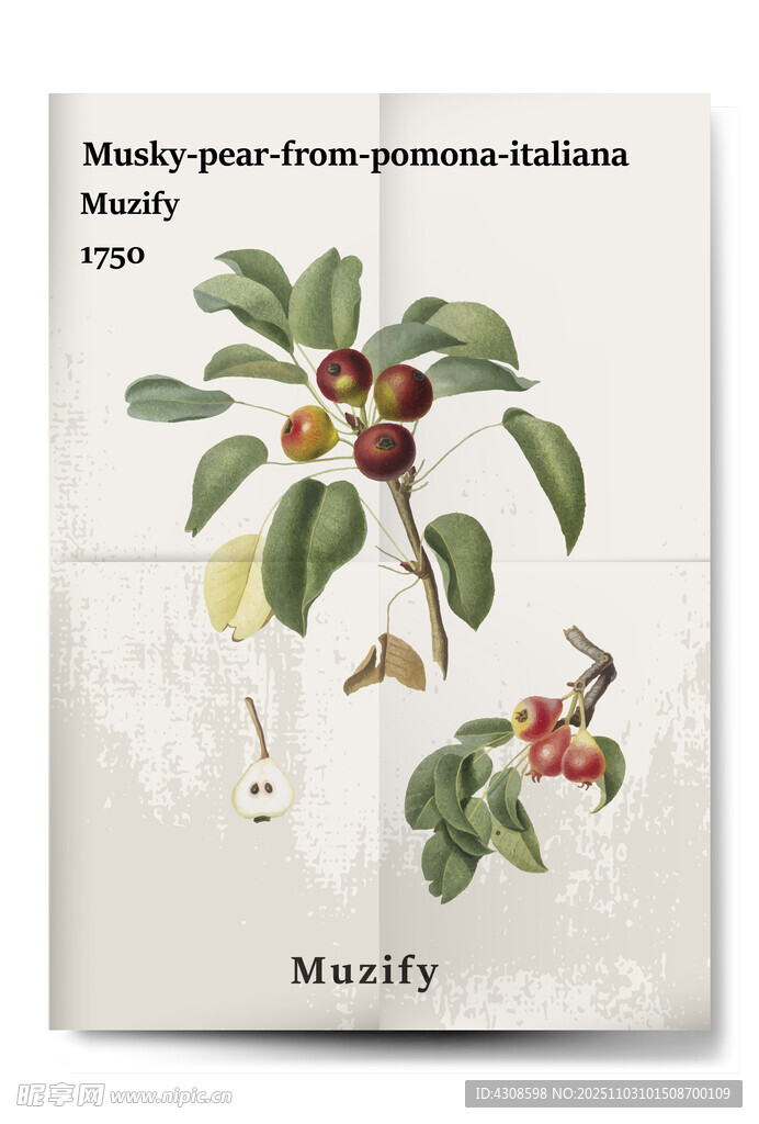 复古麝香梨植物海报