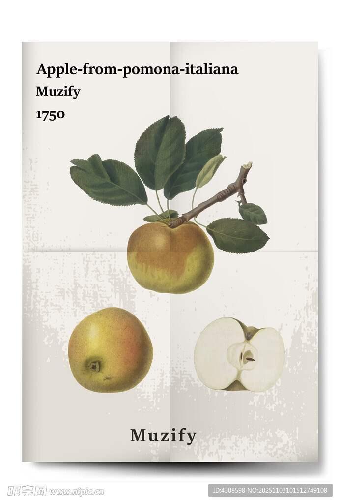 复古苹果植物海报