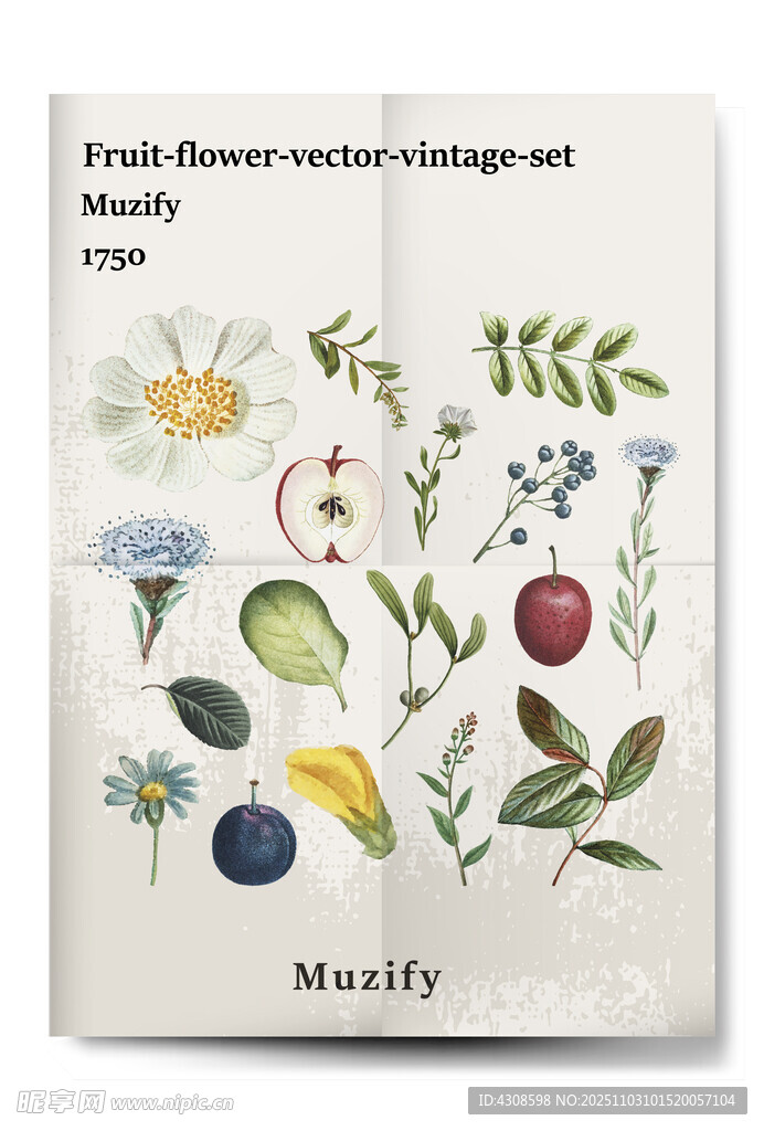 15款入 复古花卉水果海报