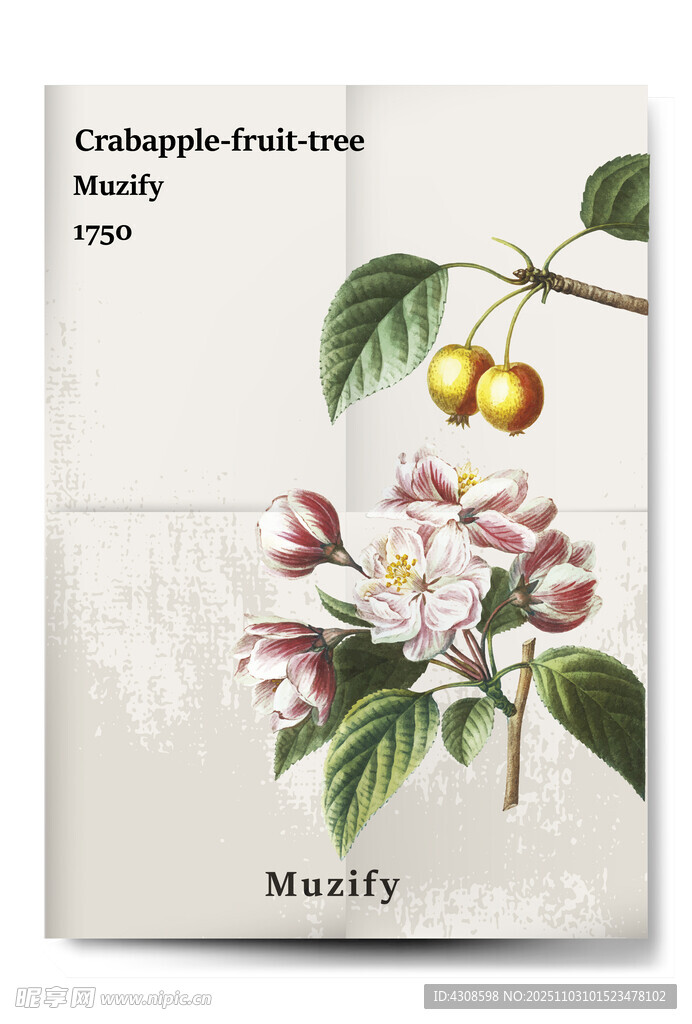 复古海棠果树植物海报