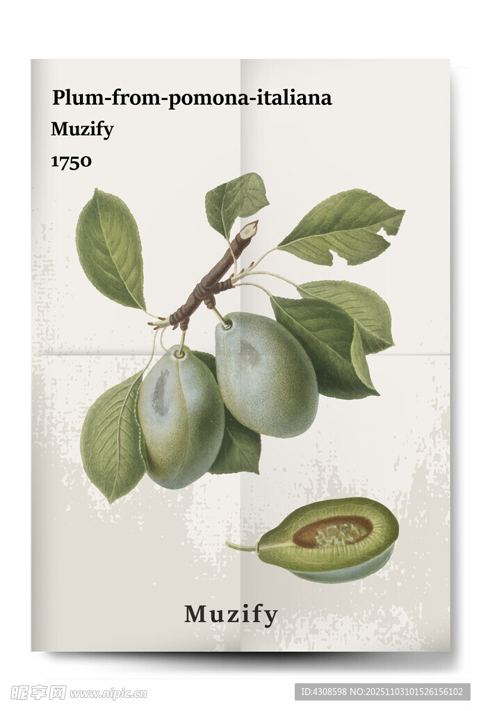 复古绿李子水果海报