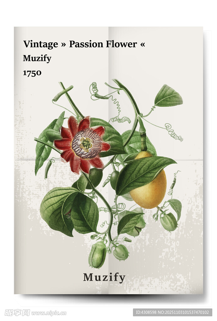 复古百香果和花卉植物海报