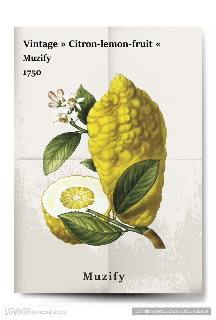 复古拧檬果水果海报