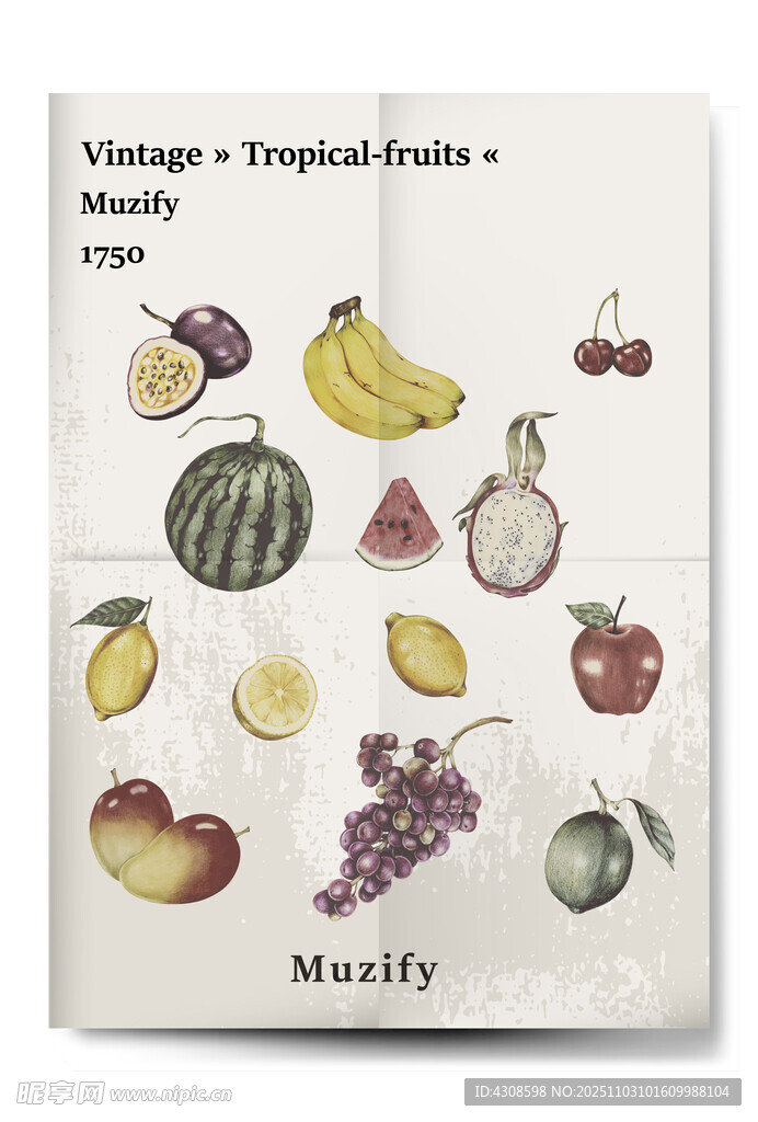 13款入复古水果海报