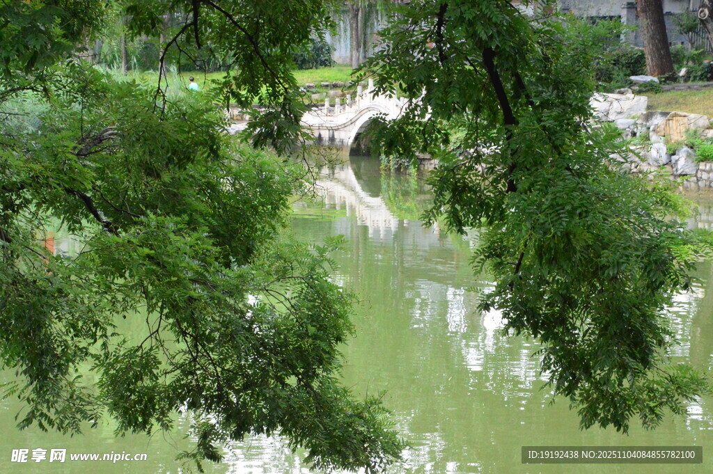 公园风景 