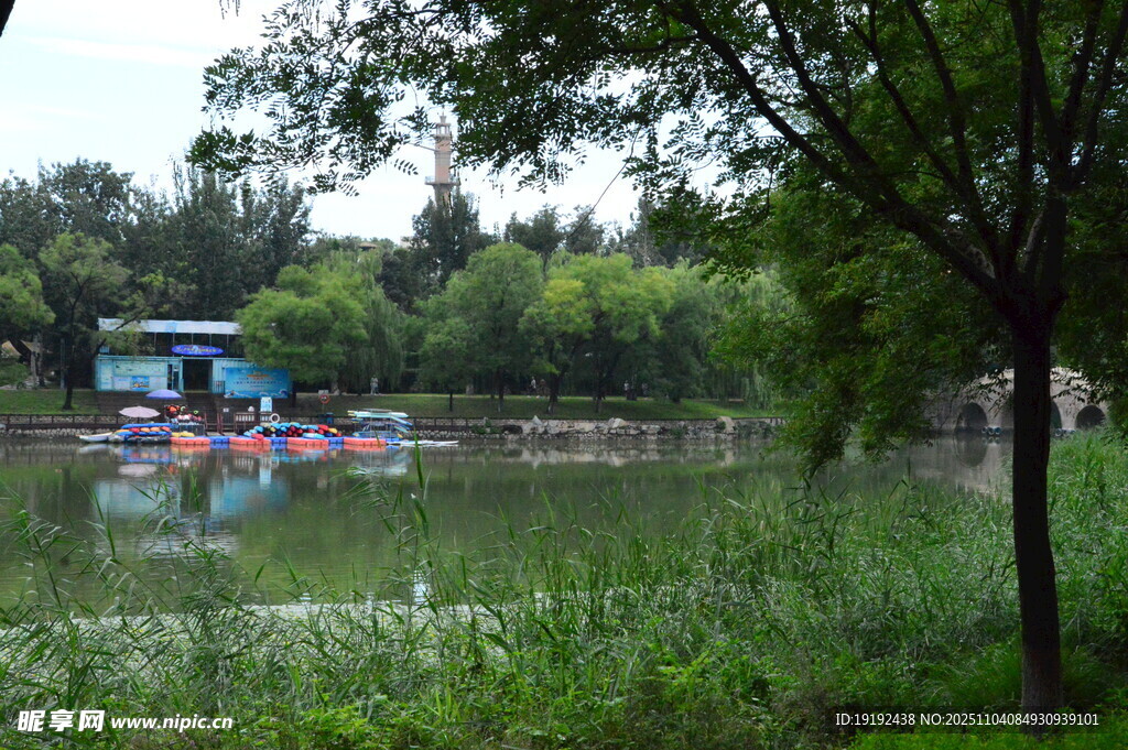 公园风景  