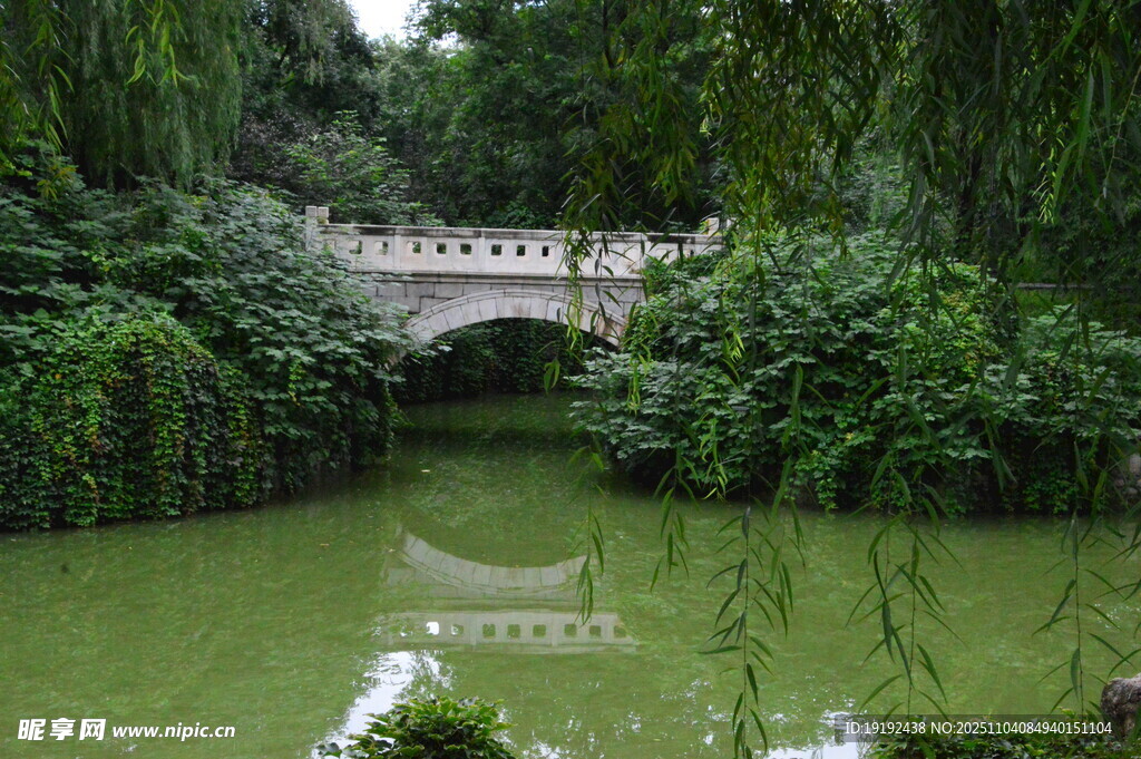 公园风景  