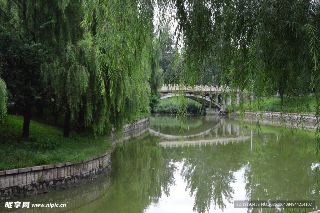 公园风景  