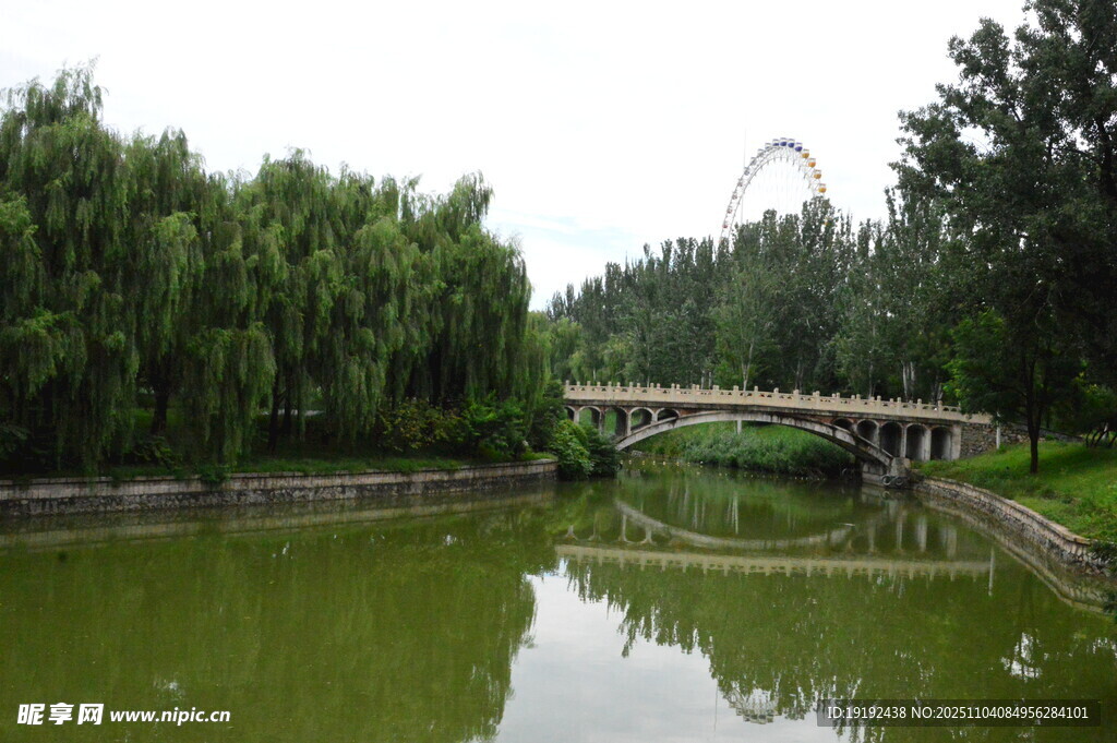 公园风景  