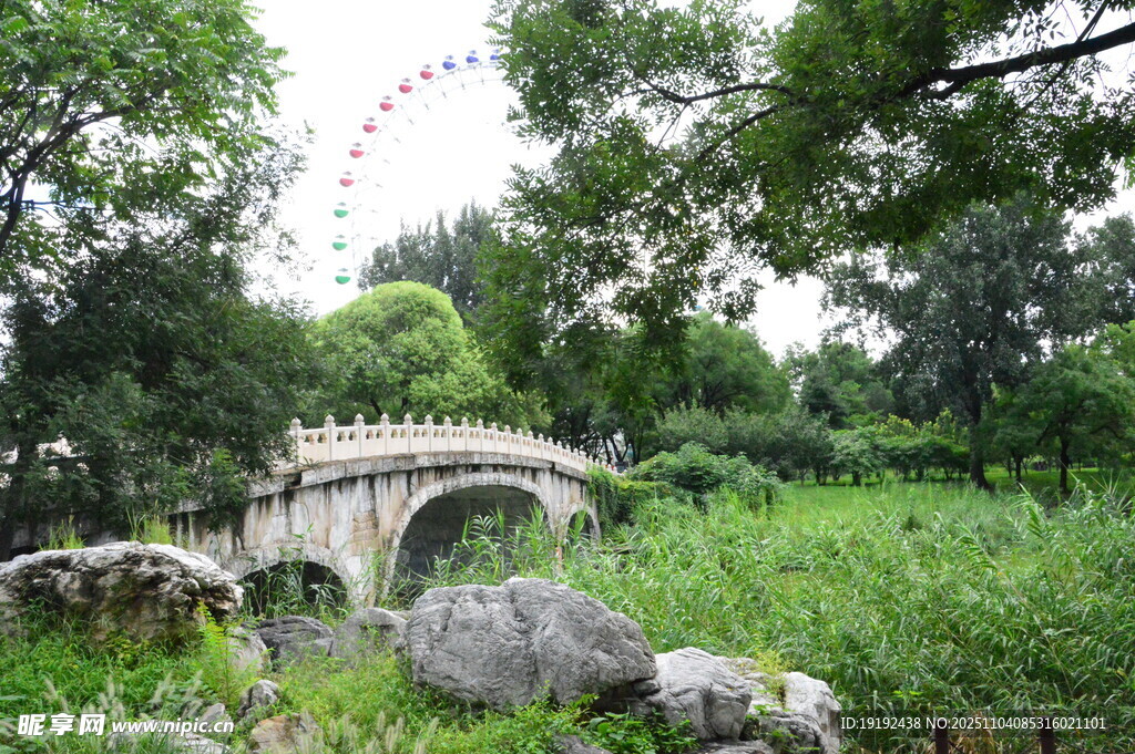 公园风景 