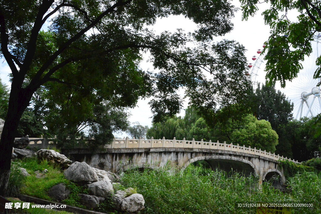 公园风景  