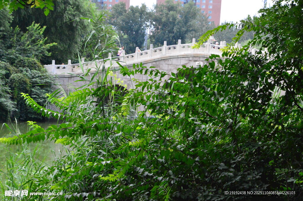 公园风景  