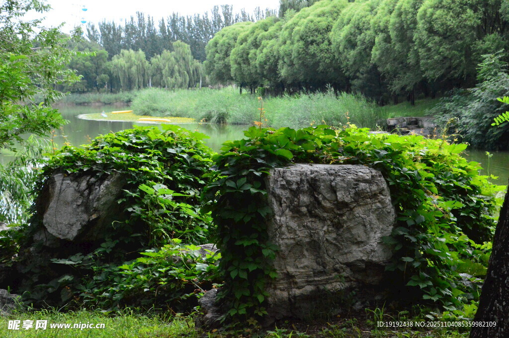 公园风景  