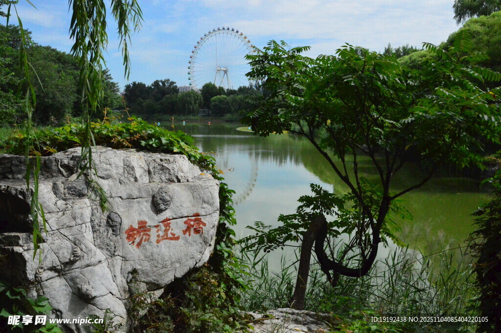 公园风景  