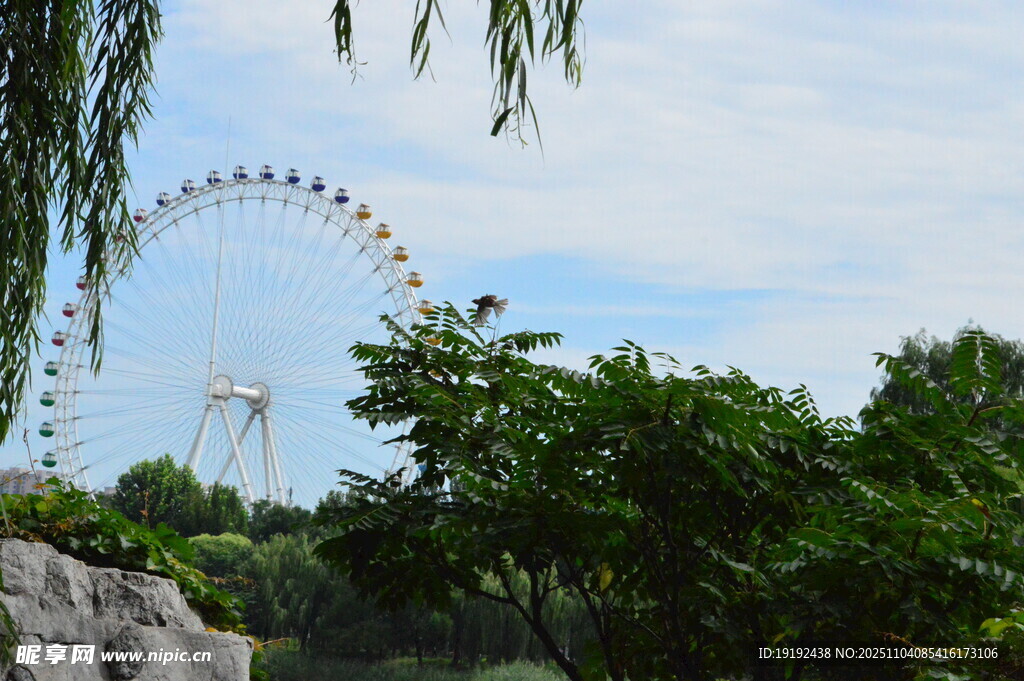 公园风景 
