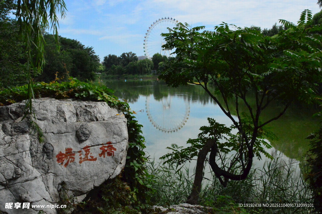公园风景  