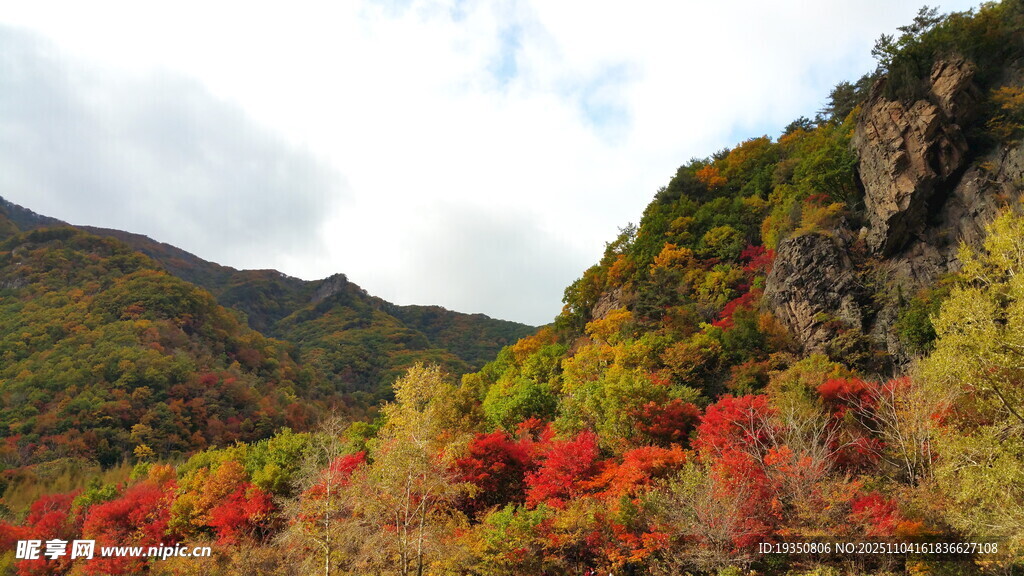 秋日山间绚烂红叶美景
