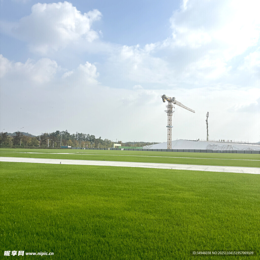 绿色草原上的风力发电景观