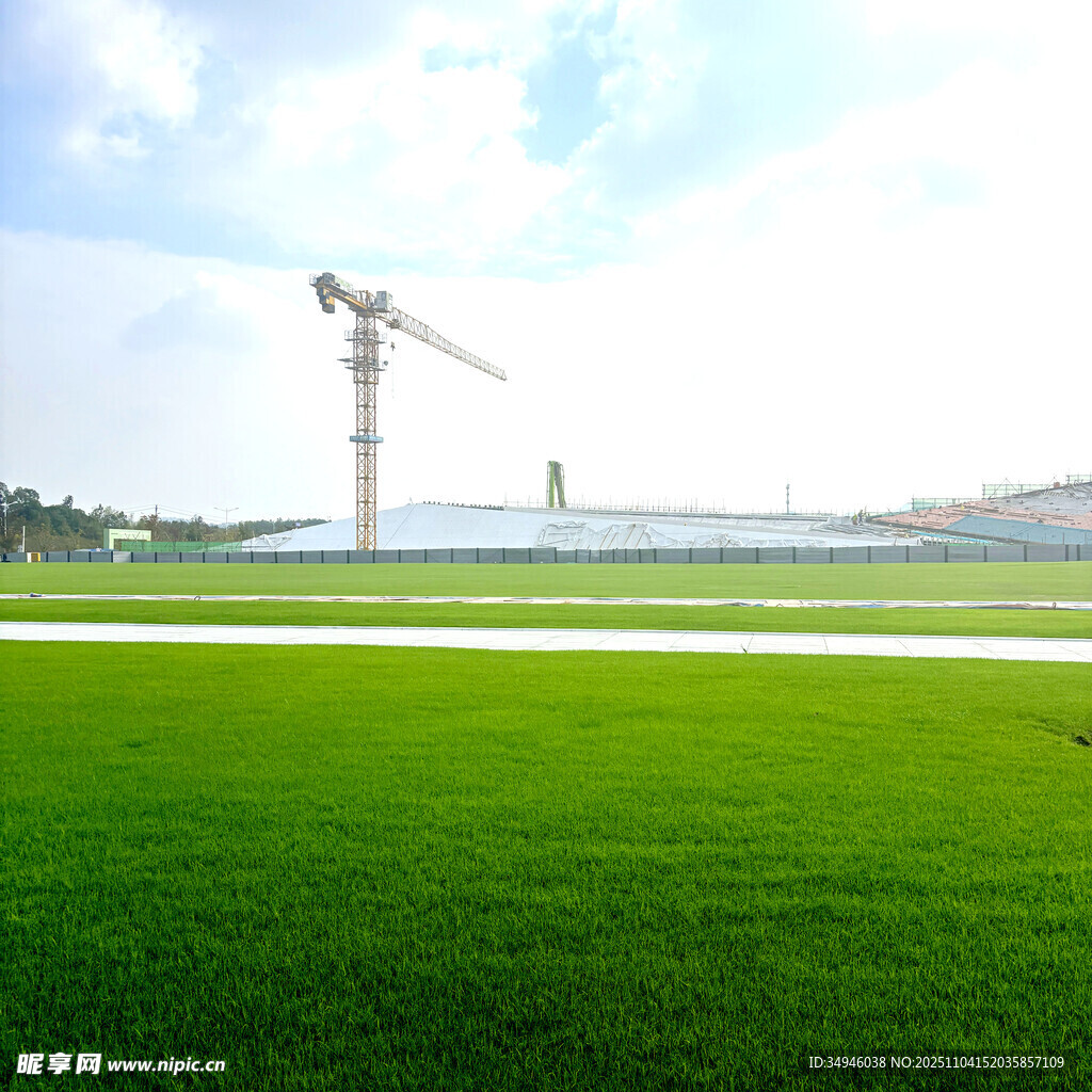 绿地上的高耸起重机