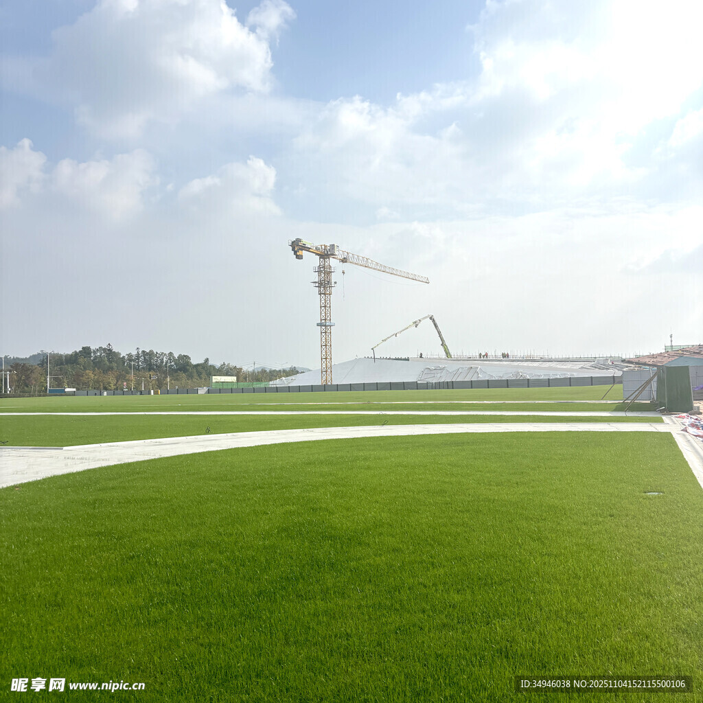 工地旁的翠绿草坪