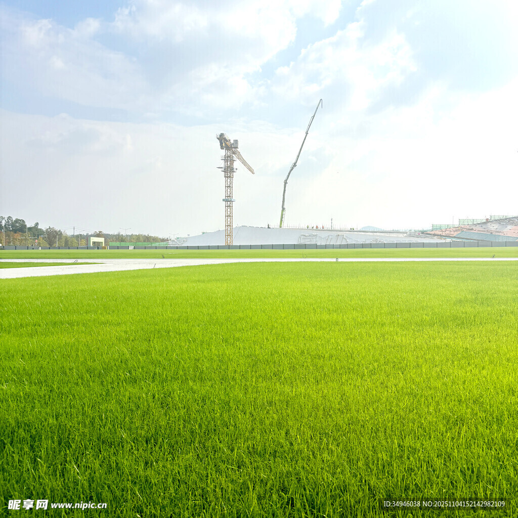 绿色田野与远处风车景观