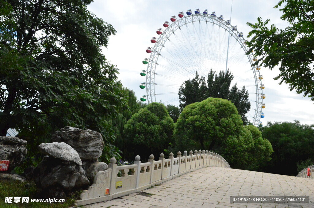 公园风景  