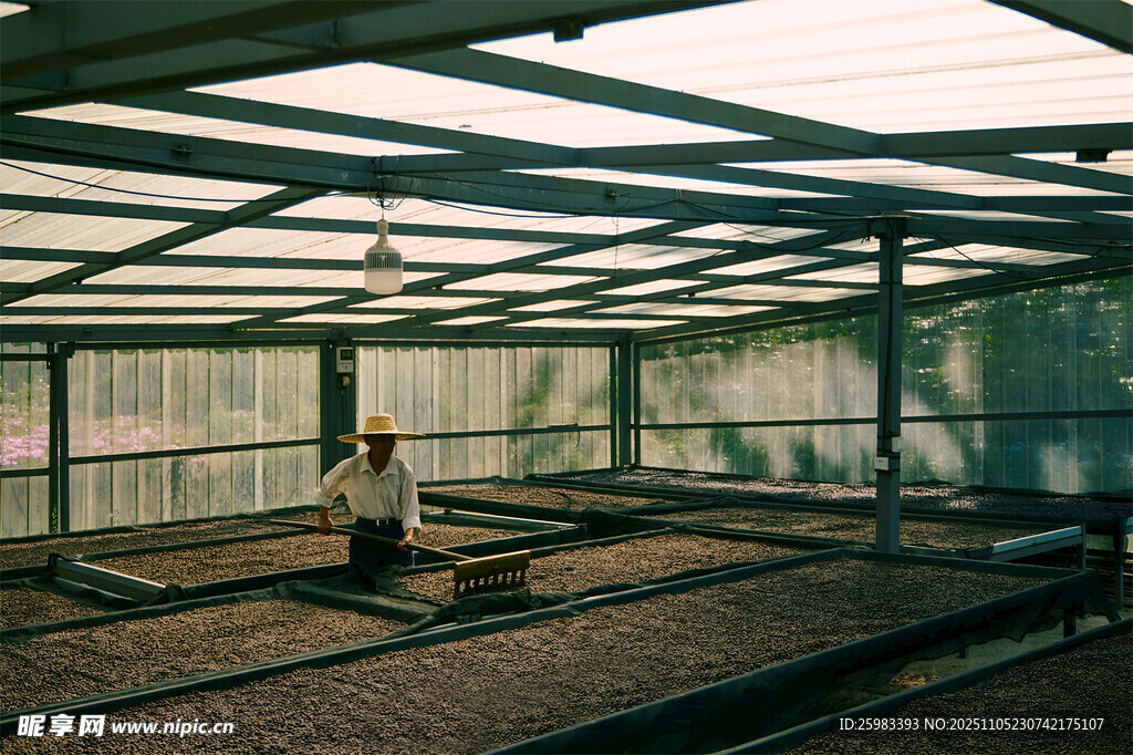 农业温室
