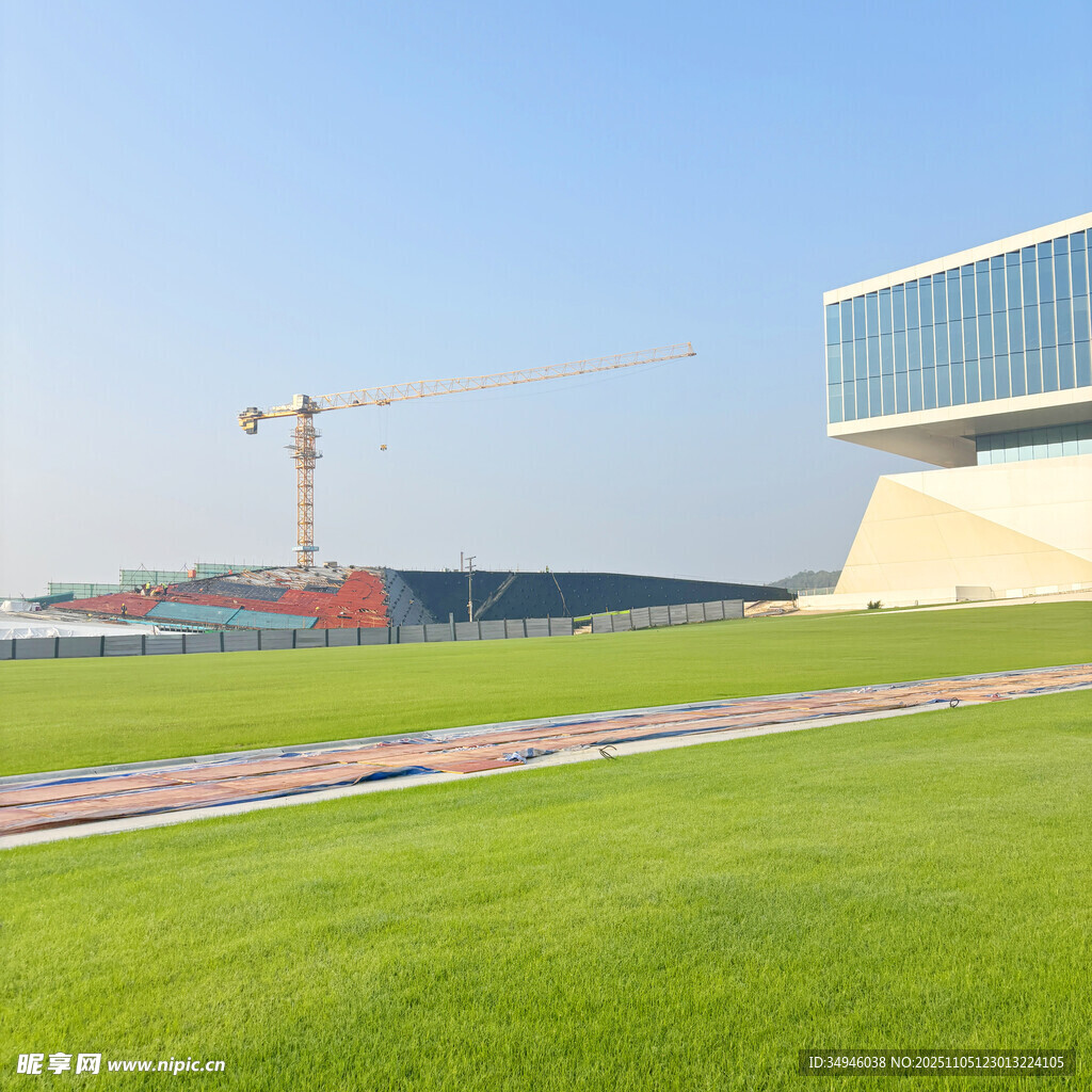 现代建筑旁的绿地与塔吊