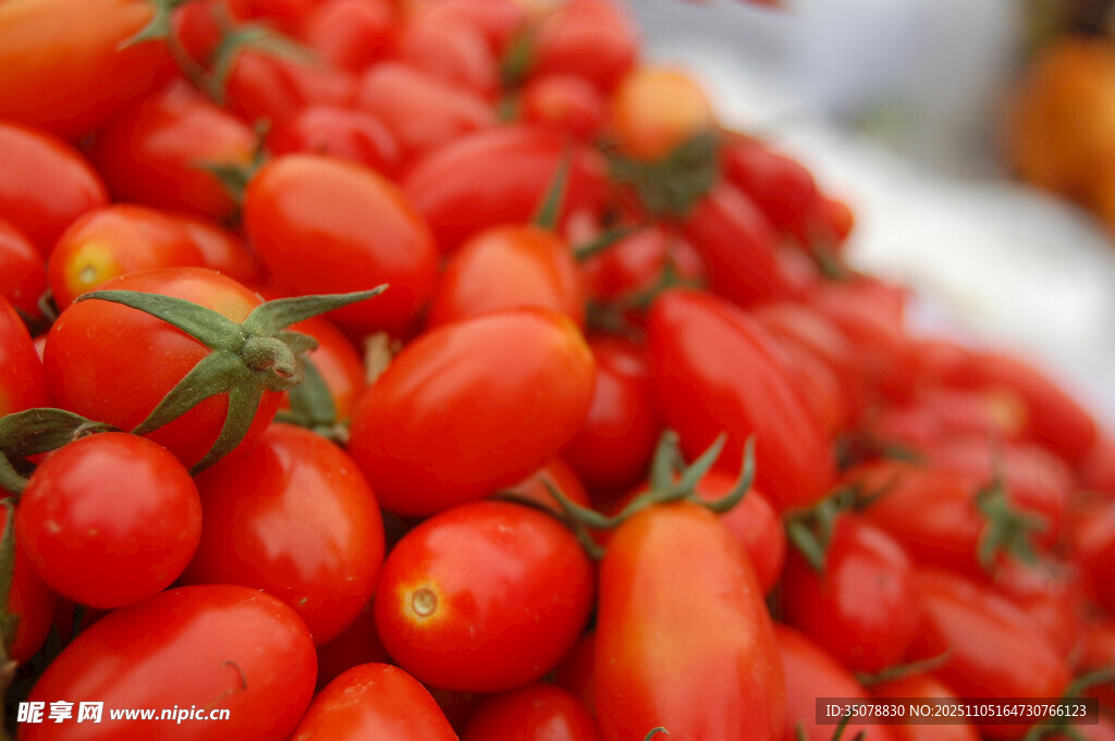 新鲜饱满的小番茄