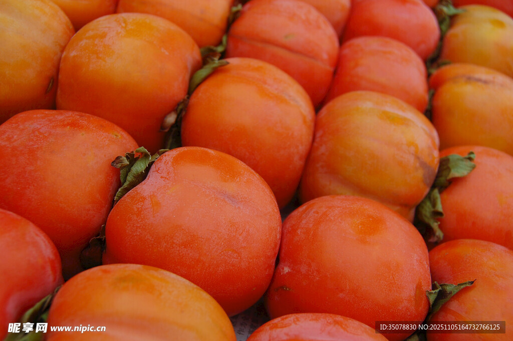 饱满柿子整齐排列