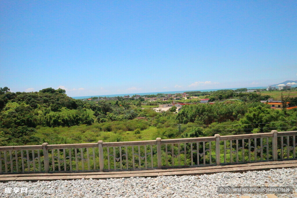 俯瞰葱郁植被与开阔远景