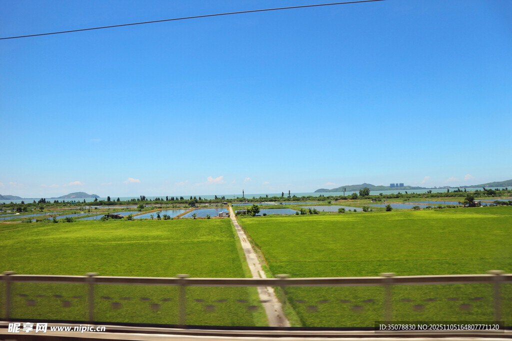 田园风光中的乡间小路