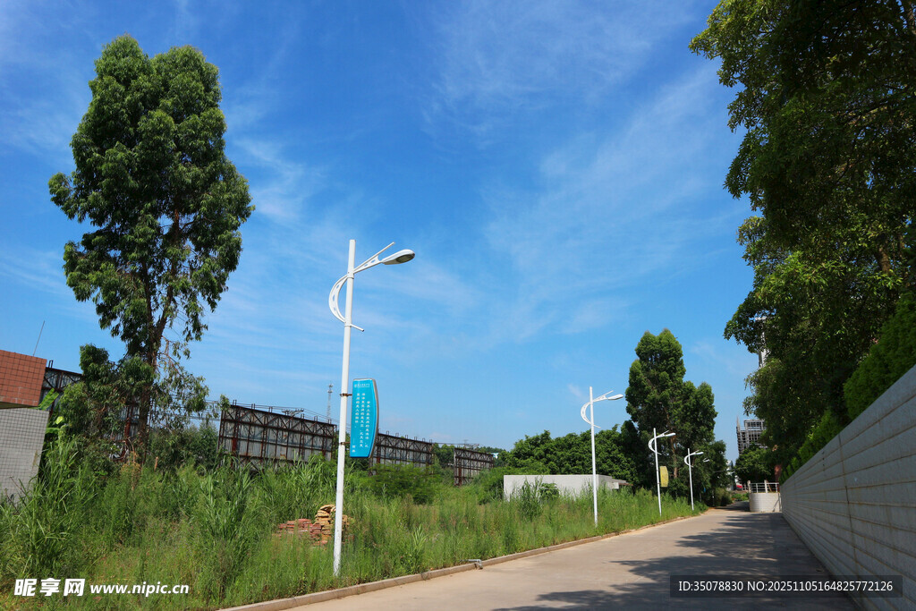 乡村小路旁的绿树蓝天