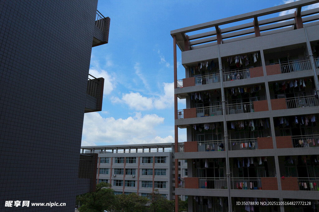 学校宿舍楼