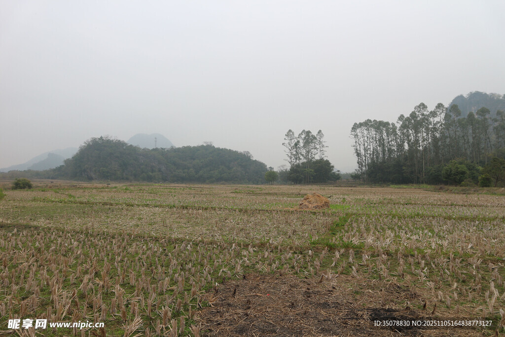 田野风光远处山峦与树木