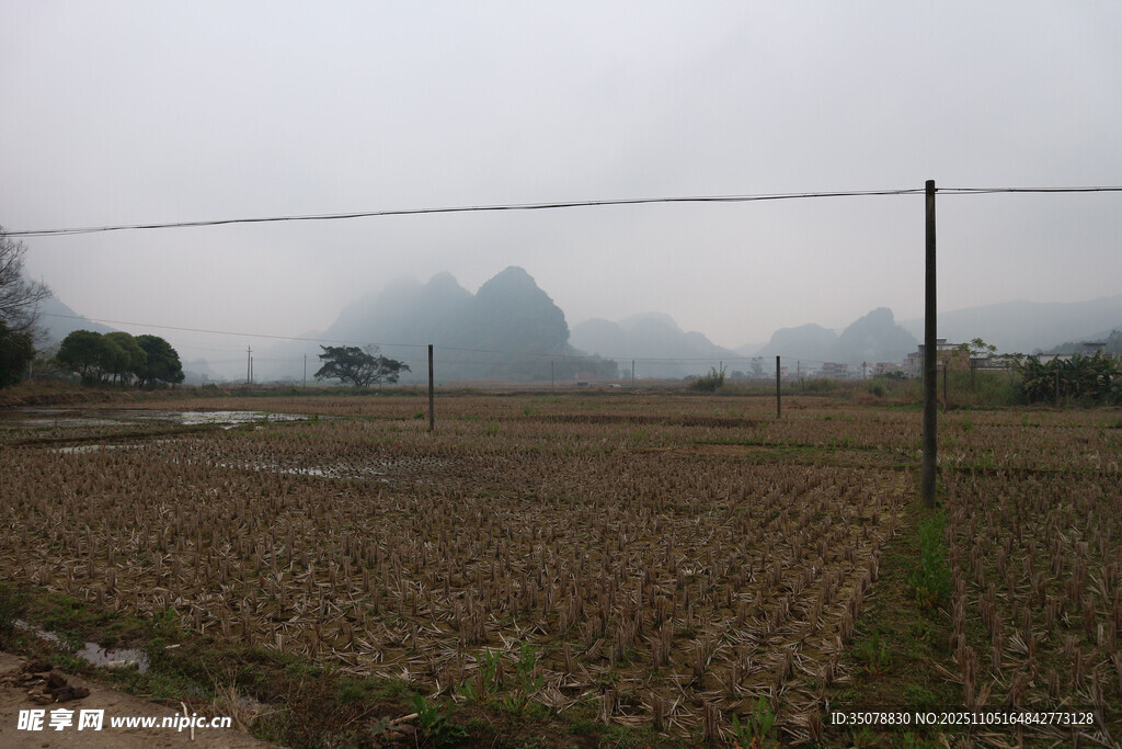 雾中田野与远山景色
