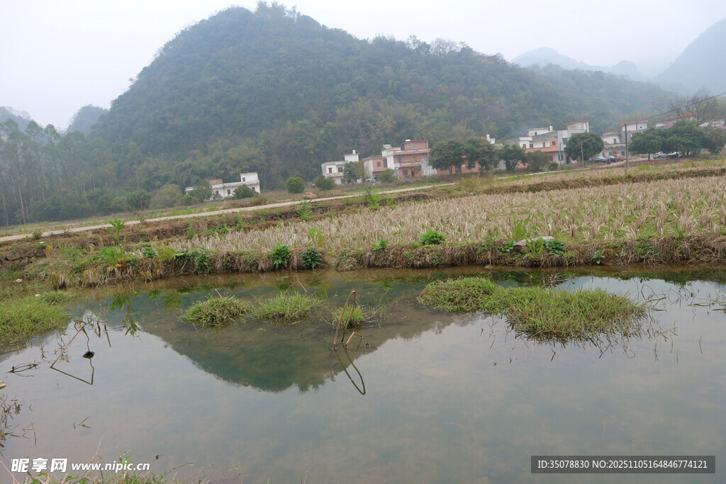 乡村水田边的宁静村落