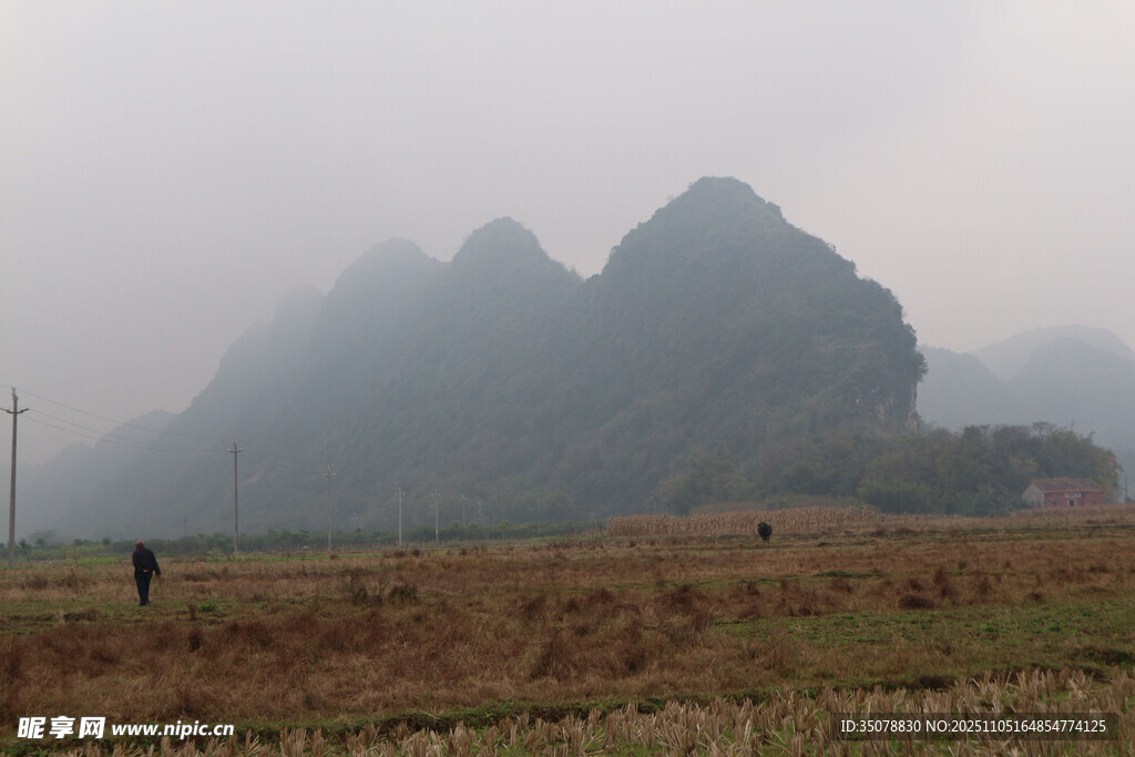 雾中田园与远山景色