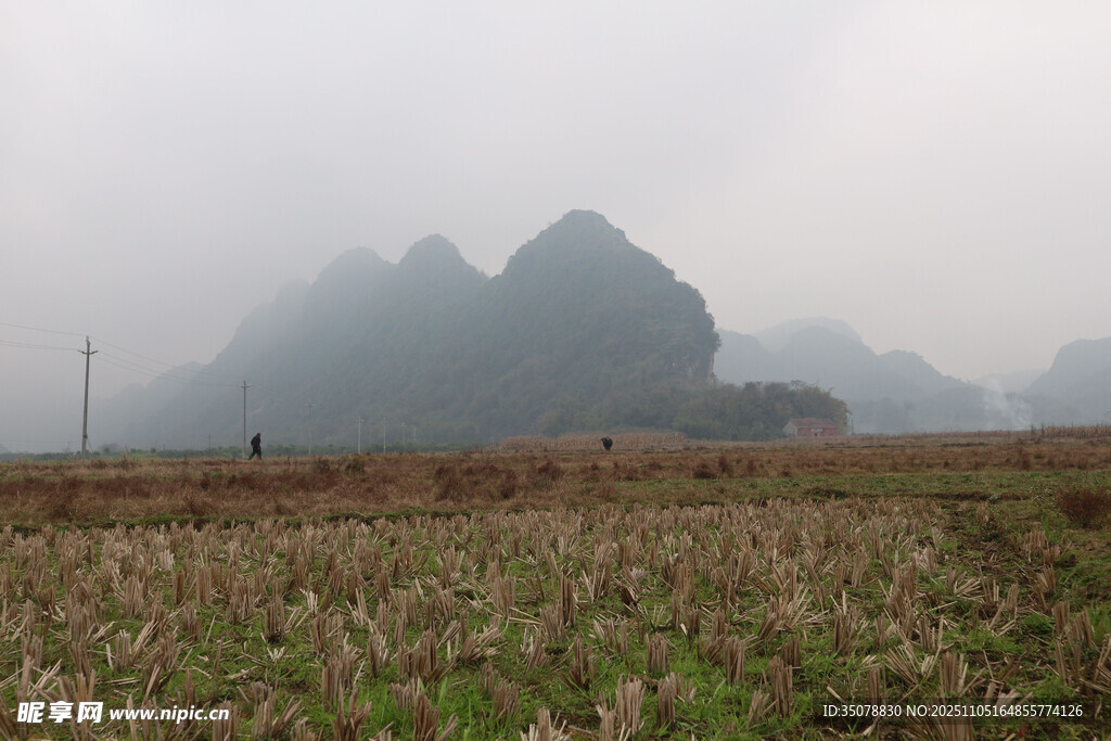 雾中田野与远山景色