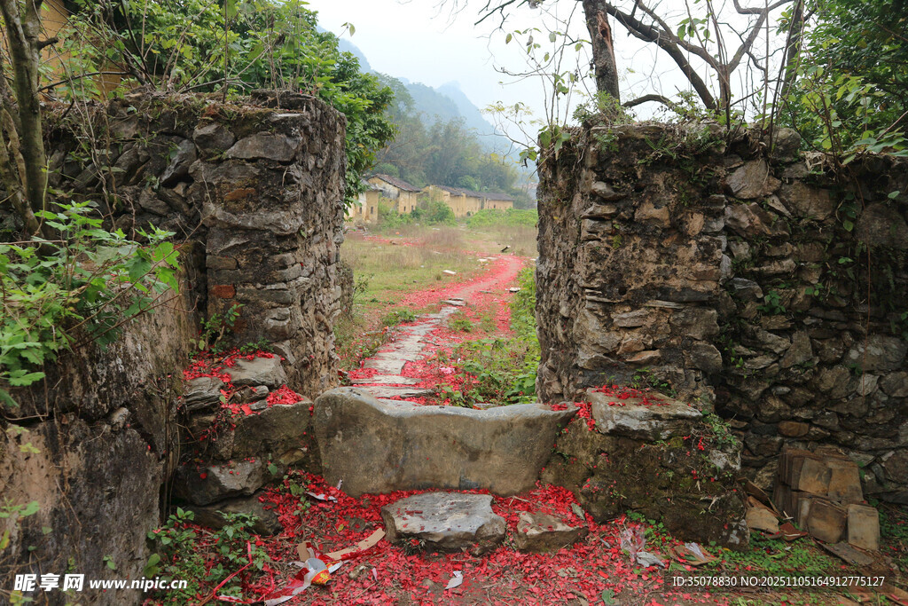 古径残红石墙间的诗意景致