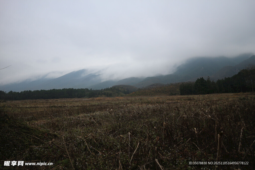 雾霭中的田野与远山