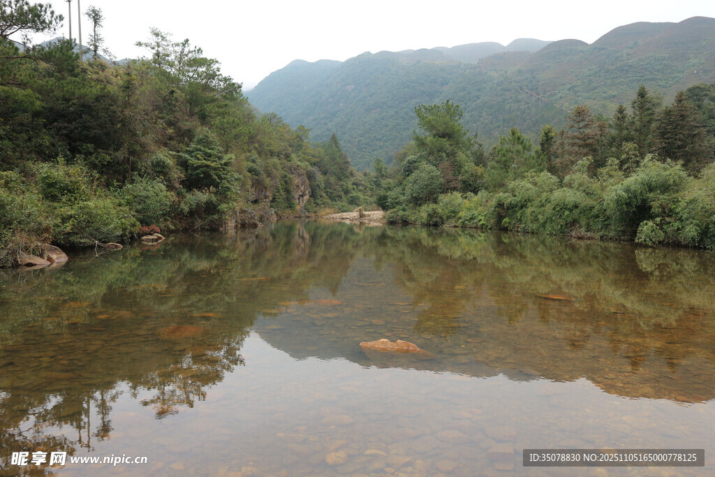 山间清澈小河绿意环绕